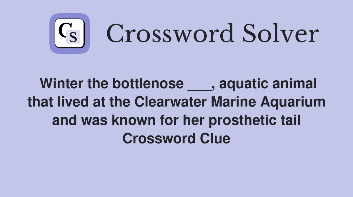 Winter the bottlenose ___, aquatic animal that lived at the Clearwater